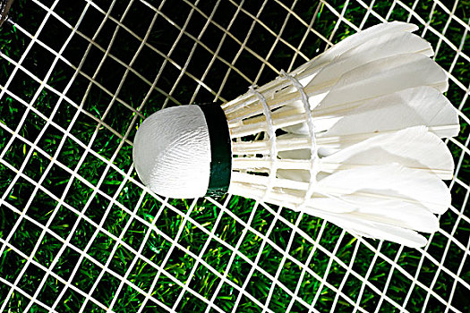 的青少年带 的青少年带