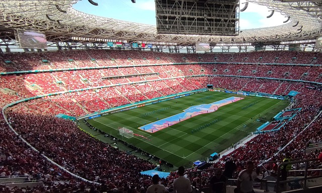 半球的美丽 半球的美丽