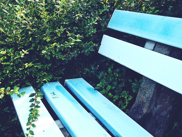 不断进化 不断进化